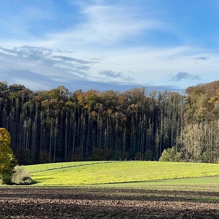 Ferienhaus Kleine Auszeit In Der Natur Mit Kamin, Yogamatten, Schoene Kueche Extertal Esterno foto